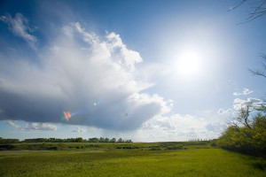 Condie Nature Refuge