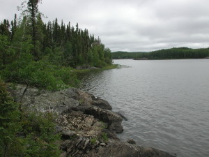 Looking roughly east from near the cache