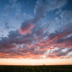 Pink clouds Photo credit: Ryan Goolevitch