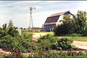 Seager Wheeler Farm Photo from http://www.seagerwheelerfarm.org