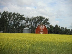 Farm near Sask-Cache-One Photo credit: Mountain_Wander (from log on geocaching.com)