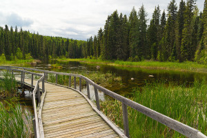 Waskesiu River Boardwalk Photo credit: Ryan Goolevitch (Nezgar & Vana)