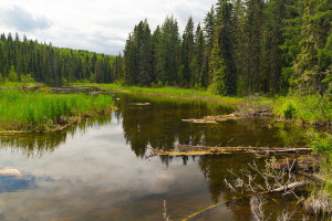 Waskesiu River Photo credit: Ryan Goolevitch (Nezgar & Vana)
