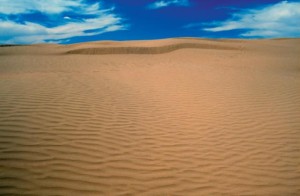 Great Sand Hills Photo credit: Tourism Saskatchewan/ Douglas E. Walker