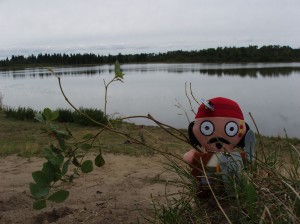 The Last Saskatchewan Pirate - Lobstick lake Photo credit: Alex Paul